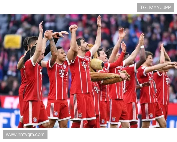 德甲各支球队人员结构与阵容分布概览